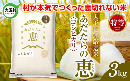 米 大玉村産厳選米「あだたらの恵」特等（品種：コシヒカリ） 3kg 《 令和7年産  》｜ 福島 大玉村 お米 米作り こしひかり 令和7年 精米 白米 こめ コメ ご飯 送料無料 大玉村農業振興公社 ｜ on-akt-3kg-r7