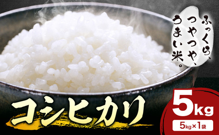 米 白米 コシヒカリ 5kg 令和7年産 都呂々みかん生産者グループ 精米