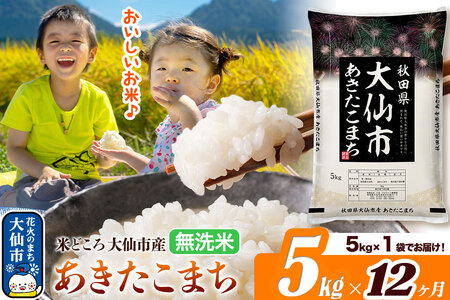 米《定期便12ヶ月》あきたこまち【無洗米】米どころ秋田県大仙市産 あきたこまち5kg（5kg×1袋）