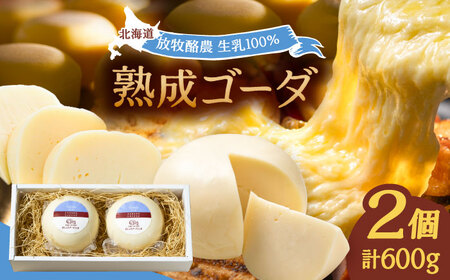 ゴーダチーズ 300g×2個【足寄町/あしょろチーズ工房】 [BEAU001]