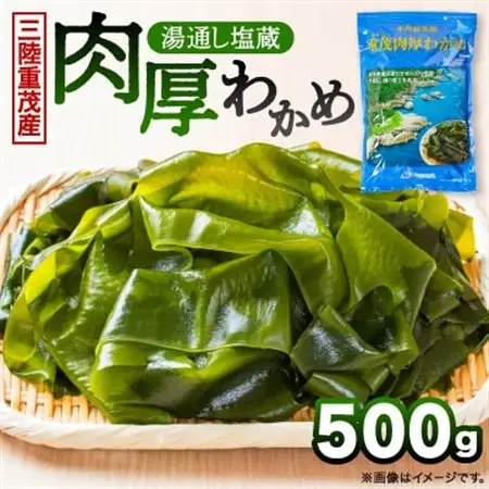 【三陸重茂産わかめ】湯通し塩蔵　肉厚わかめ　500g【配送不可地域：離島】【1685341】