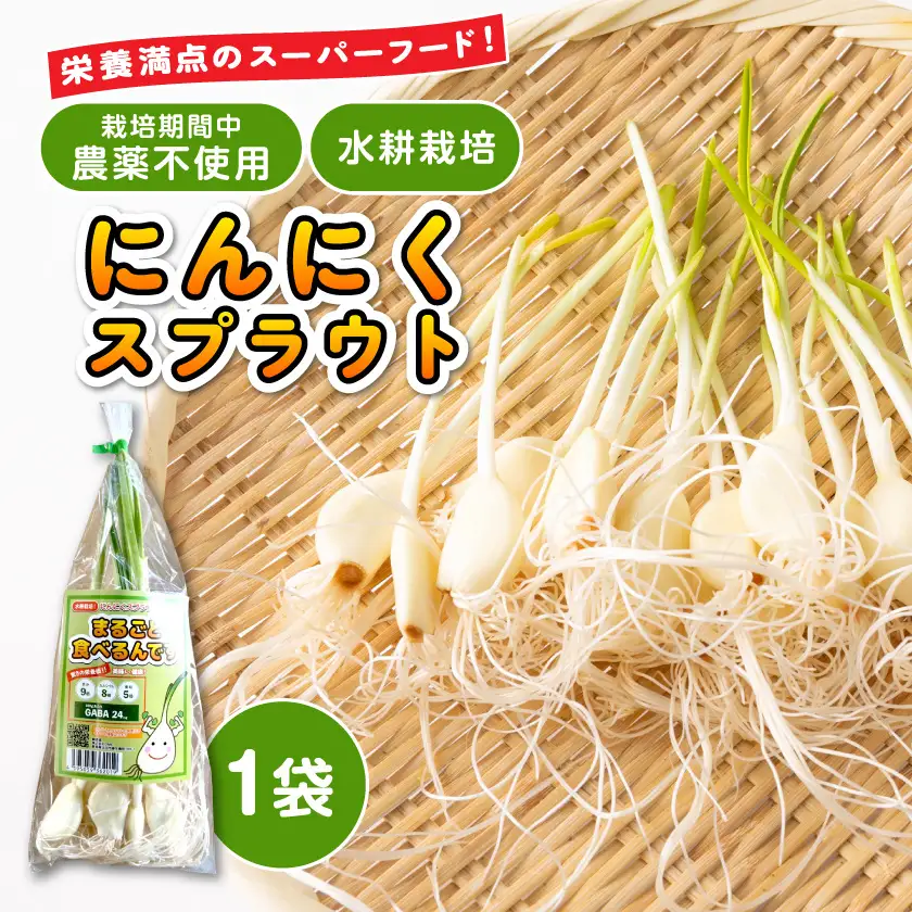 にんにくスプラウト【まるごと食べるんです】　1袋【配送不可地域：離島】【1673303】