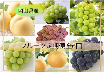 Vd-1【令和8年発送・先行予約】フルーツ定期便全6回