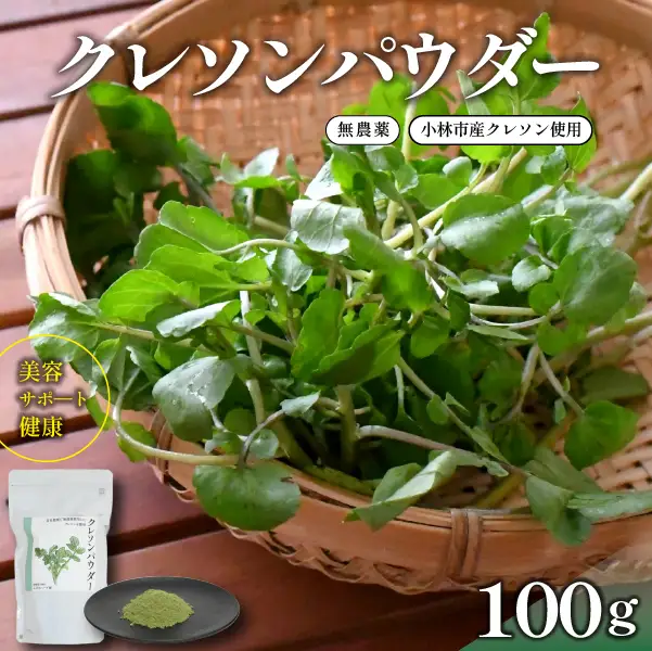 【注目のスーパーフード】天然クレソンパウダー 100g（国産 天然 粉末 パウダー 美容 野菜）
