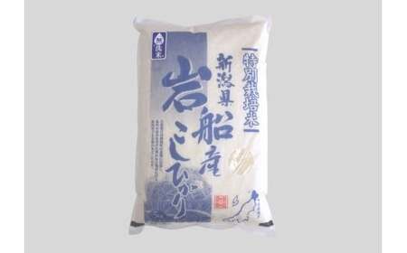 【令和7年産米】【無洗米】特別栽培米 新潟県村上市岩船産 コシヒカリ5kg 1029005
