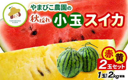 【先行予約】やまびこ農園の秋の赤と黄の小玉スイカ 食べ比べセット 合計2玉入り (1玉当たり：2kg前後) 【2026年9月中旬以降順次発送予定】 【スイカ 西瓜 すいか 小玉 デザート 果物 くだもの 秋 ジューシー お取り寄せ グルメ 産地直送】 [A-21903]
