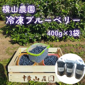 横山農園の冷凍ブルーベリー400g×3袋【CH-001】