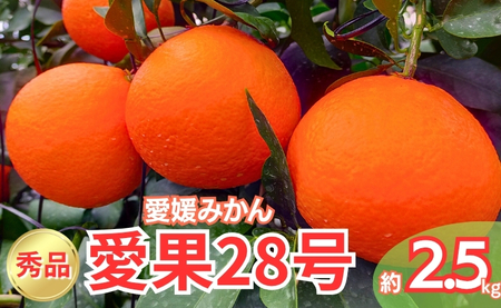 【2026年先行予約】 みかん 愛果28号 秀品 約2.5kg バラ詰め 【2026年11月下旬から順次発送予定】 紅まどんなと同一品種 愛媛 人気 柑橘 国産 フルーツ 伊予市｜B508