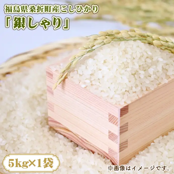 福島県桑折町産こしひかり「銀しゃり」　5kg ／ 令和7年 新米 米 お米 こめ コメ 精米 白米 ご飯 国産米 5キロ コシヒカリ こしひかり 甘み 粘り 香り ツヤ おすすめ 人気 おいしい お取り寄せ 産地直送 産直 桑折町産 睦合産 福島県産 特産 福島県 No.254
