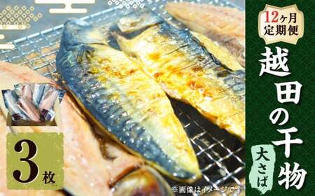 【12ヶ月定期便】 越田の干物 大さば 3枚入×1パック 合計36枚 干物 鯖 さば 魚 お魚 さかな さば サバ