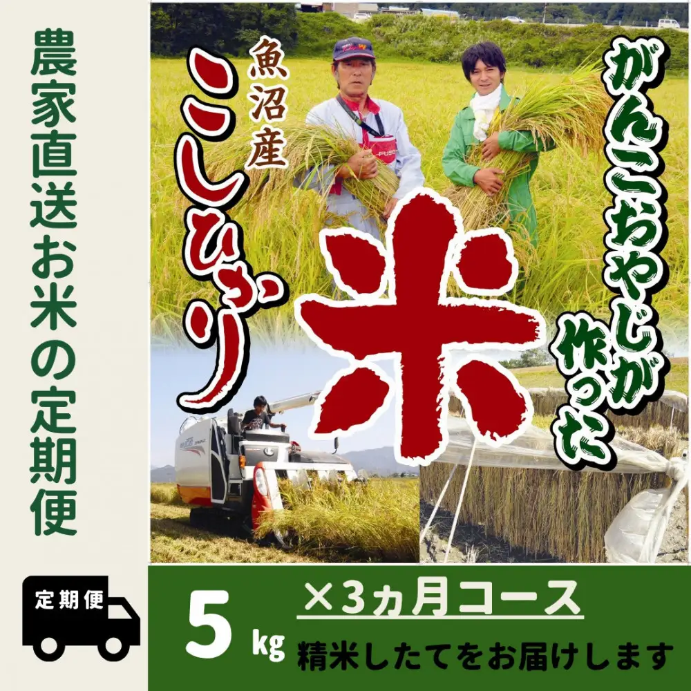 【令和７年産】３か月定期便　がんこおやじが作った南魚沼産コシヒカリ白米5kg【定期便 銘柄米 ブランド米 精米 こしひかり コシヒカリ 魚沼産 新潟米 産地直送 お米 米 こめ コメ ご飯 御飯 ごはん】