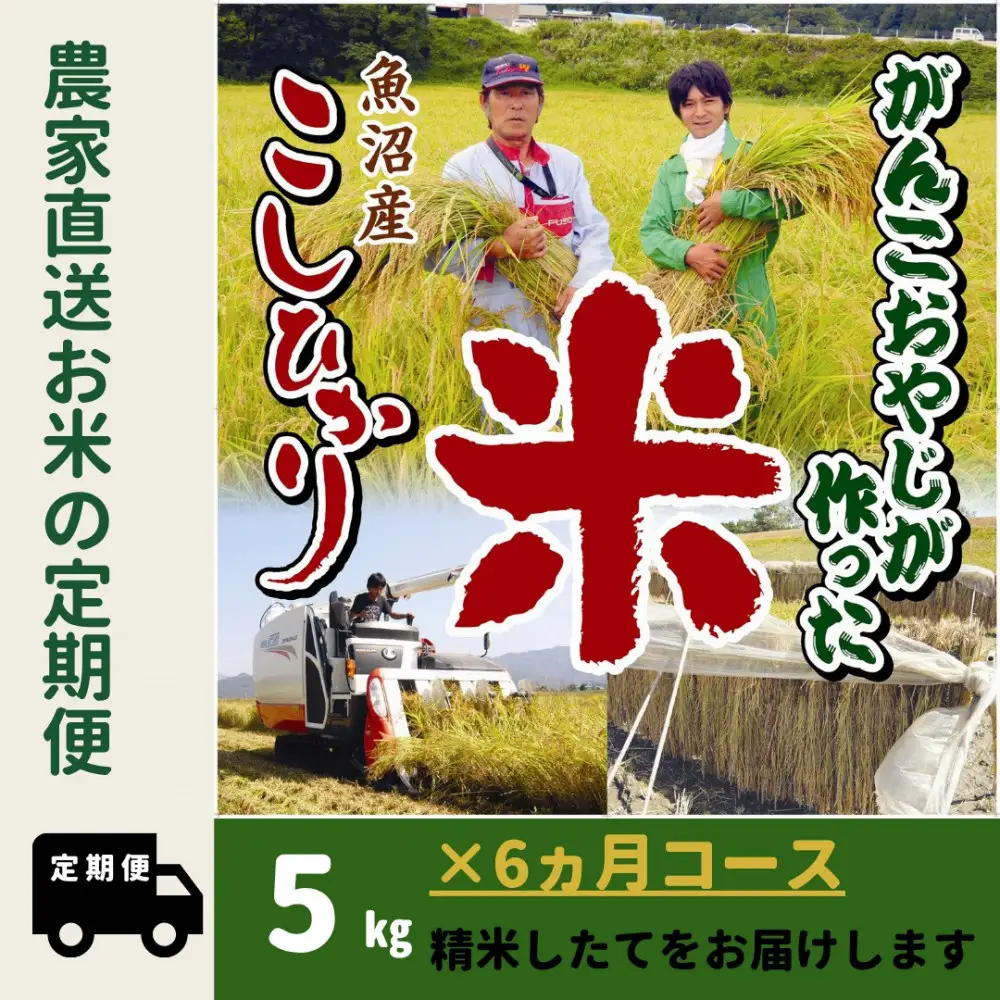 【令和７年産】6か月定期便　がんこおやじが作った南魚沼産コシヒカリ白米５kg【定期便 銘柄米 ブランド米 精米 こしひかり コシヒカリ 魚沼産 新潟米 産地直送 お米 米 こめ コメ ご飯 御飯 ごはん】