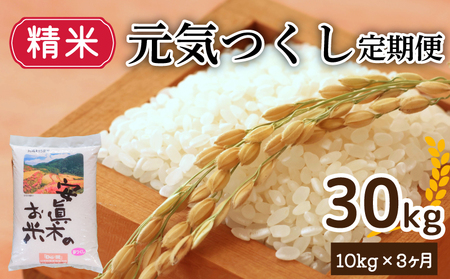 元気つくし 30㎏（玄米） 定期便 米 お米 ゴハン メシ 飯 夕ご飯 美味しいご飯 福岡 川崎 定期便 米 定期便 米 定期便 米 定期便 米 定期便 米 定期便 米 DEIT016_z