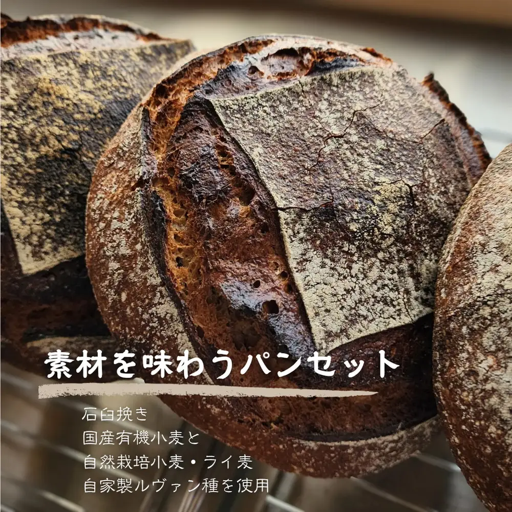 【国産有機小麦と自然栽培小麦・ライ麦使用】素材を味わうパンセット ／ パン 国産小麦 自然栽培 小麦 ライ麦 天然酵母 ルヴァン種 国産素材 自家製粉 自家製ルヴァン種 パンセット 詰め合わせ 食べ比べ お取り寄せグルメ 大阪府 No.348