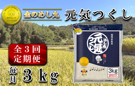 CE-109_【定期便３回】令和７年米　金のめし丸元気つくし ３Kg（1袋）×３回