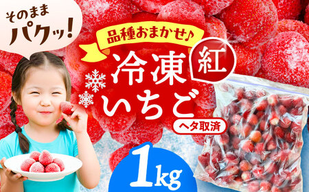 冷凍苺 1kg いちご 苺 イチゴ【配達不可：離島】 / くぼ苺農園[AECJ025]