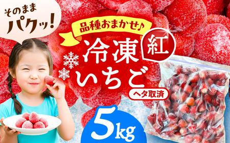 冷凍苺 5kg いちご 苺 イチゴ【配達不可：離島】 / くぼ苺農園[AECJ027]