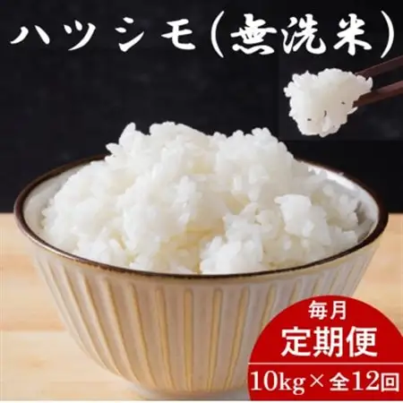 【毎月定期便】岐阜県産ハツシモ(無洗米) 10kg全12回【配送不可地域：離島】【4076358】