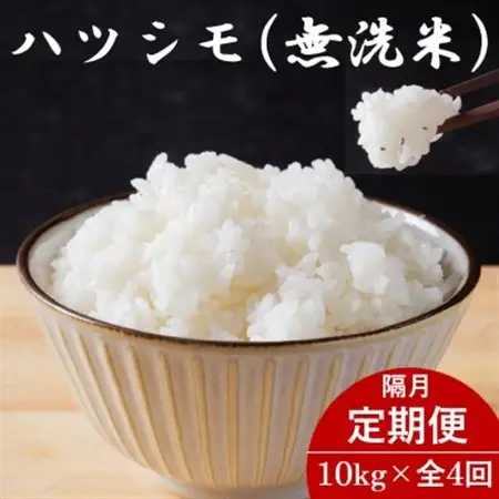 【2ヵ月毎定期便】岐阜県産ハツシモ(無洗米) 10kg全4回【配送不可地域：離島】【4076361】