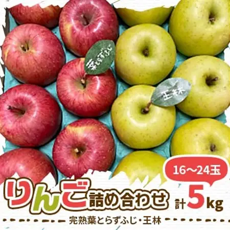 (2026年産予約)【青森市産　完熟葉とらずふじ・王林】 約5kg 16～24玉(家庭用)【配送不可地域：離島・沖縄県】【1181953】