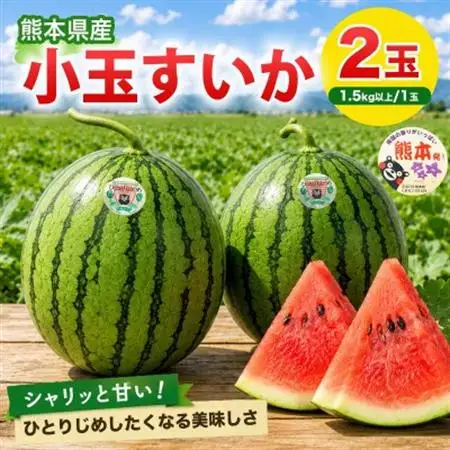 小玉すいか 2玉入り 3Lサイズ 約3kg以上(益城町)【1684316】