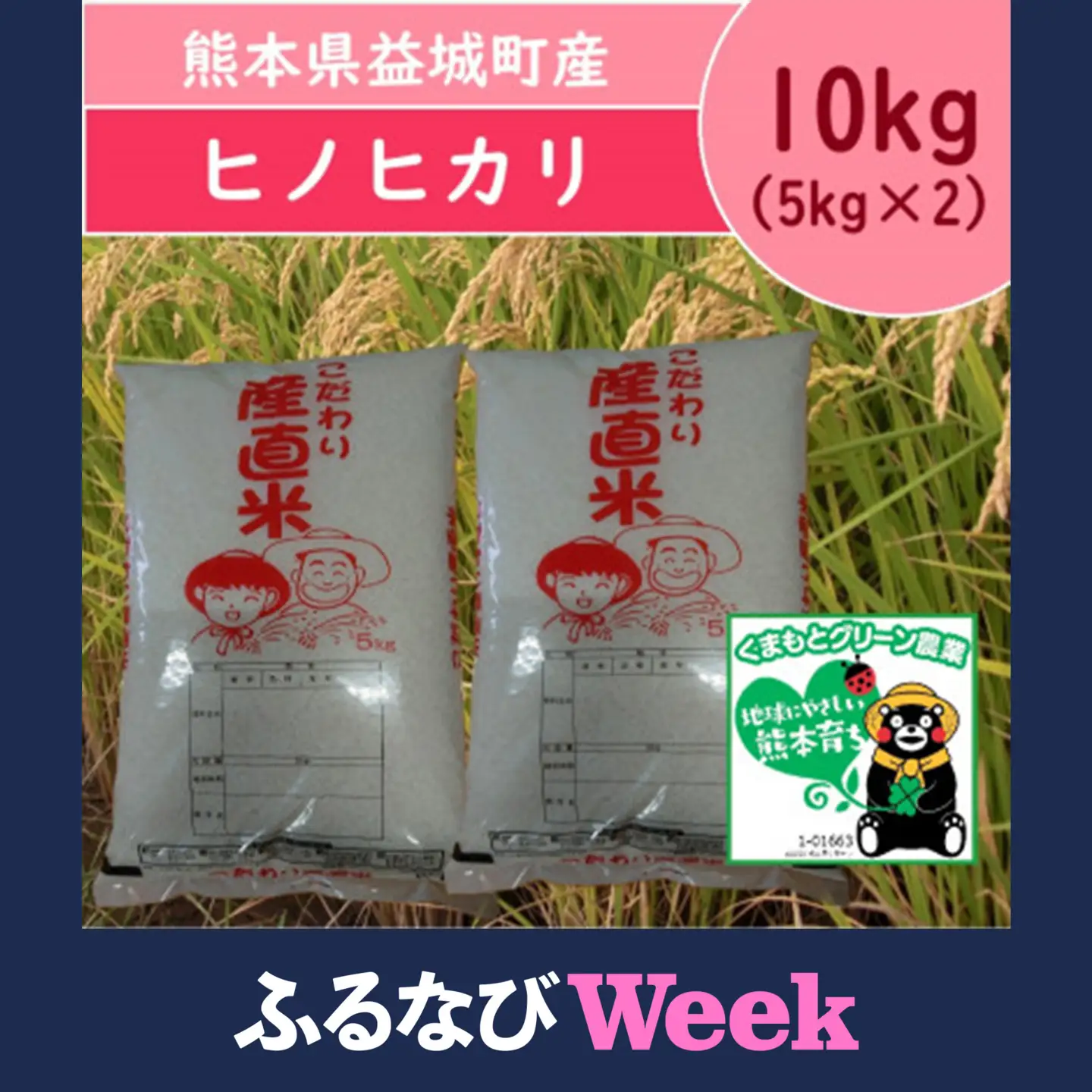 【ふるなびWEEK対象】熊本県益城町産 単一原料米 令和7年産「ヒノヒカリ」10kg(5kg×2袋)【1685535】