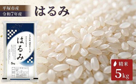 精米 特A 令和7年産 はるみ 5kg 米