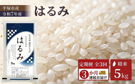 【 定期便3か月 】 精米 令和7年産 はるみ 5kg 特Aランク 米