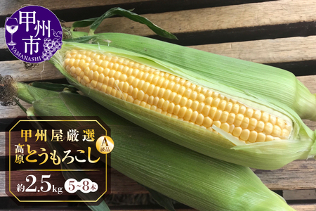 甲州屋厳選 高原とうもろこし A級品 約2.5kg（5～8本）【2026年発送】B-141