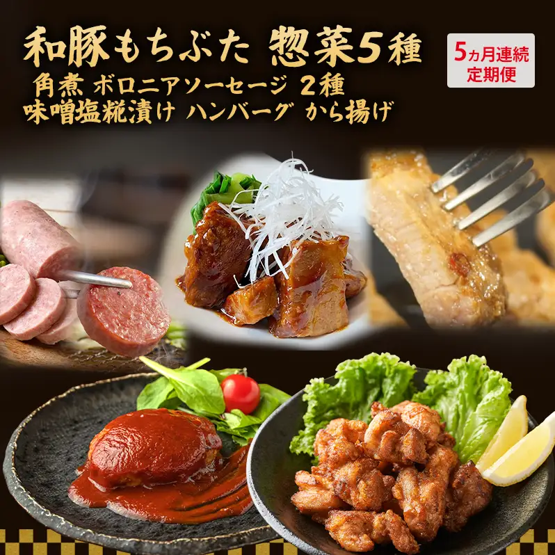 【5ヵ月定期便】全5回 和豚もちぶた 角煮 ボロニアソーセージ 2種 味噌塩糀漬け ハンバーグ から揚げ 豚肉