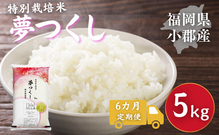 定期便 6回 特別栽培米 R7年度産 福岡県 小郡産 夢つくし 5kg 米 お米 6ヶ月