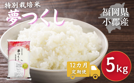 定期便 12回 特別栽培米 R7年度産 福岡県 小郡産 夢つくし 5kg 米 お米 12ヶ月