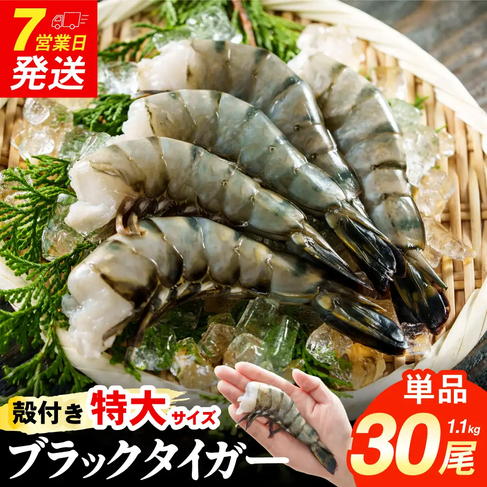 特大 ブラックタイガー 無頭えび 1.1kg前後 （30尾） 【入金確認後7営業日以内に発送】 剥き海老 剥きえび むき海老 むきえび むきエビ むき身 海鮮 海産物 魚介類 甲殻類 海の幸 疲労回復 大阪府 阪南市
