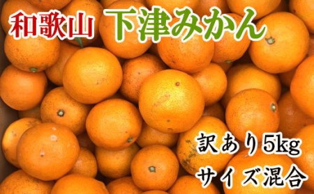 【訳あり】和歌山下津みかん5kgご家庭用向け(サイズ混合) ｜みかん ミカン 蜜柑 フルーツ みかん ふるーつ みかん 果物 みかん くだもの みかん 和歌山 みかん