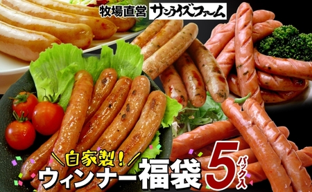 自家製お楽しみウインナー 5パックセットランダム おまかせ 豚肉 フランクフルト ウィンナー あらびき パセリ チョリソ 長ネギ 肉厚 ジューシー 夕食 ご飯 惣菜 おかず おつまみ お酒 送料無料 日本ふるさと創生株式会社（サンライズファーム） 千葉県 香取市  SRF013