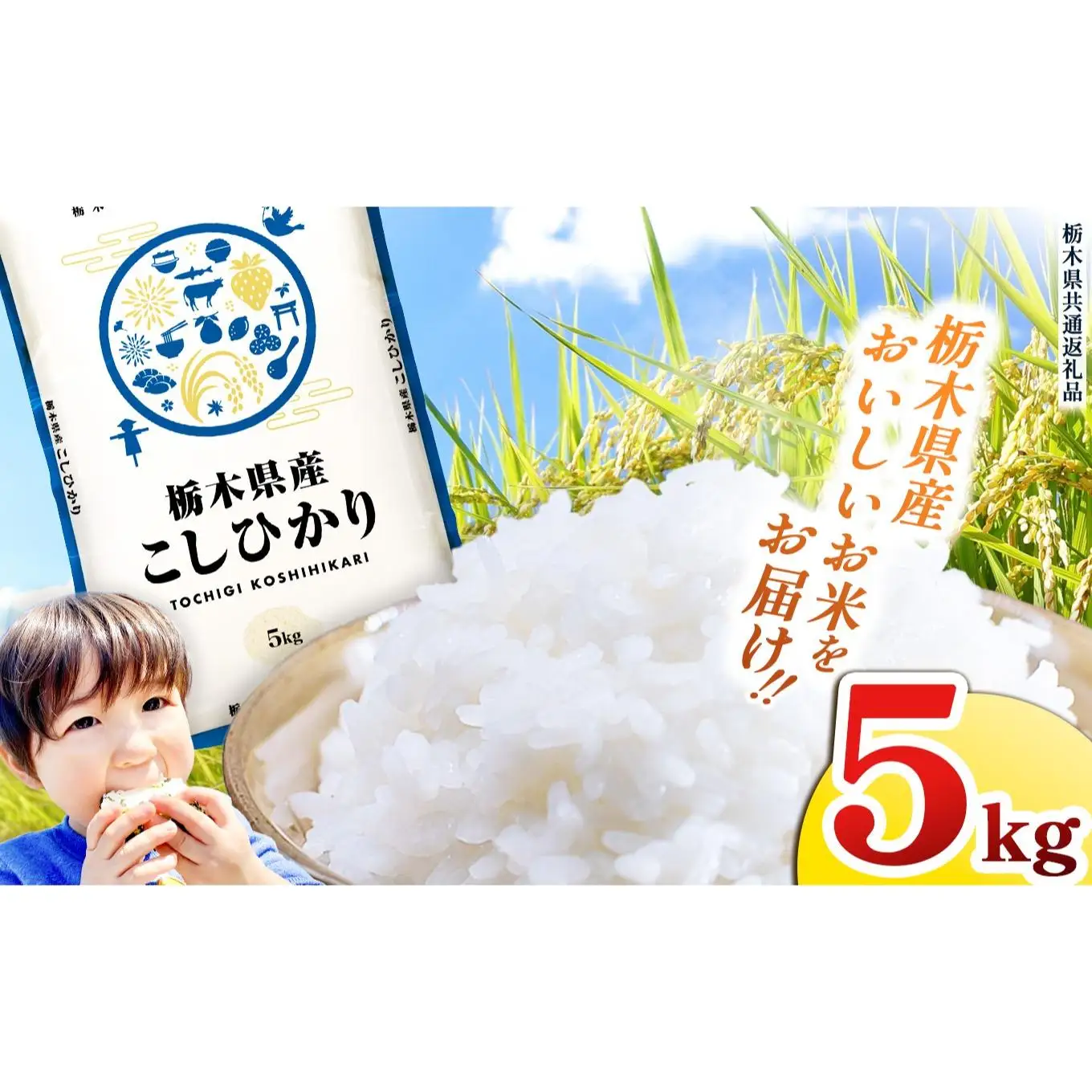 栃木県産 お米 こしひかり 5kg |  栃木県 矢板市 【栃木県共通返礼品】