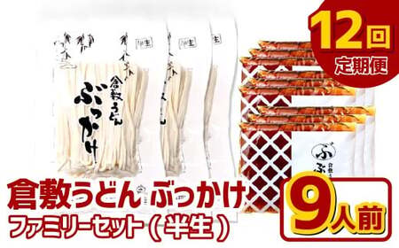 【12ヶ月定期便】『倉敷うどん ぶっかけ』ファミリーセット(半生) 9人前×12回 うどん 麺類 麺 半生 半生麺 ぶっかけうどん タレ つゆ 岡山県 倉敷市