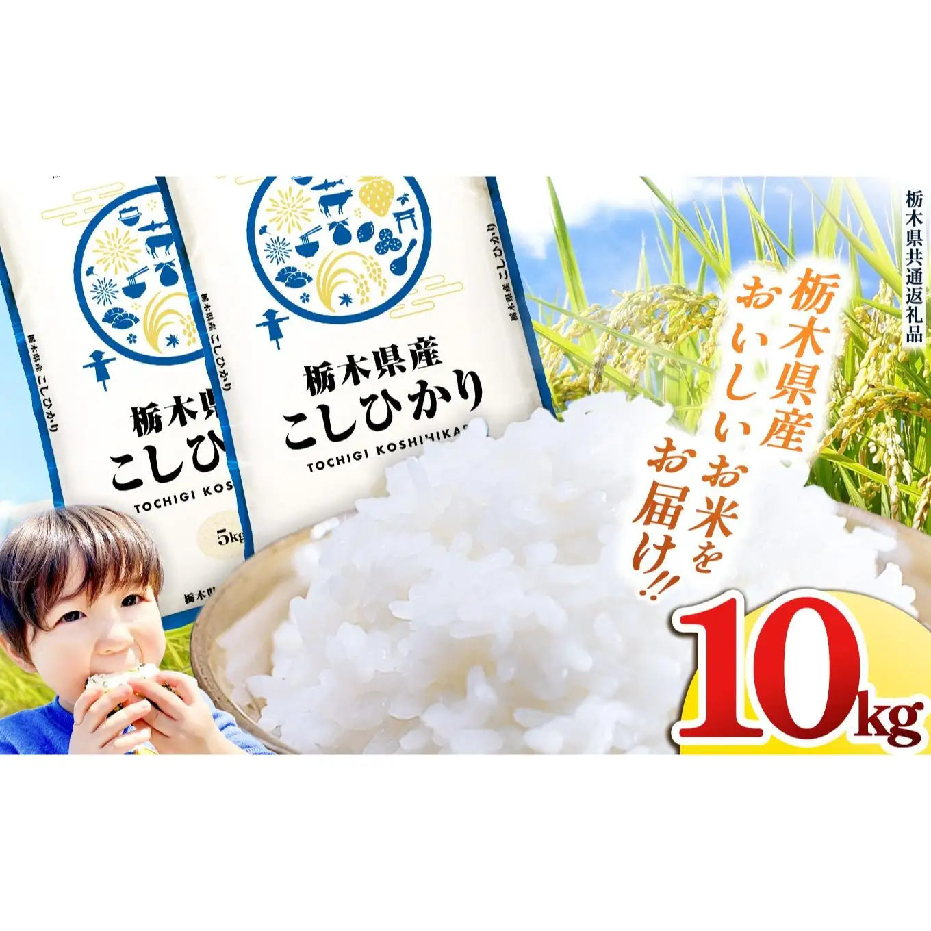 栃木県産 お米 こしひかり 10kg |  栃木県 矢板市 【栃木県共通返礼品】