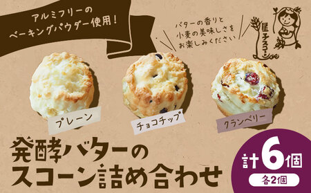 星子スコーン 行列ができる スコーン 詰め合わせ 3種 6個