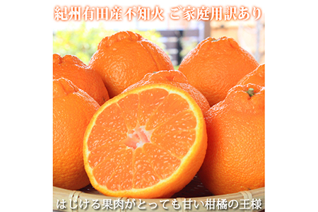 【ご家庭用訳有り】紀州有田産不知火(しらぬひ) 約8.5kg