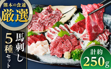 馬刺し 5種 約250g 馬刺し食べ比べ[AYAT022]