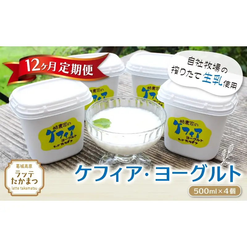 【12ヵ月定期便】ケフィア・ヨーグルト500ml×4個 ／ 葛城 高原 牧場 ケフィア ヨーグルト【latt-tkb014】