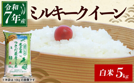 米 【令和7年産 ミルキークイーン 5kg】つきだ農産 ミルキークイーン