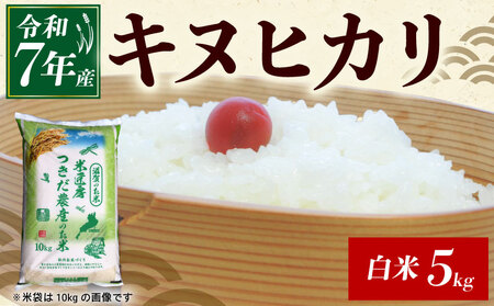 令和7年産 キヌヒカリ 白米 5kg