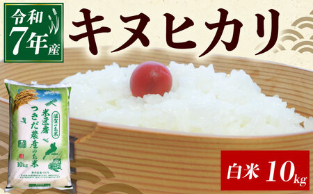 令和7年産 キヌヒカリ 白米 10kg