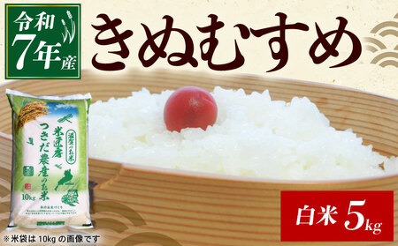 令和7年産 きぬむすめ 白米 5kg