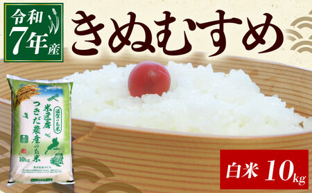 令和7年産 きぬむすめ 白米 10kg