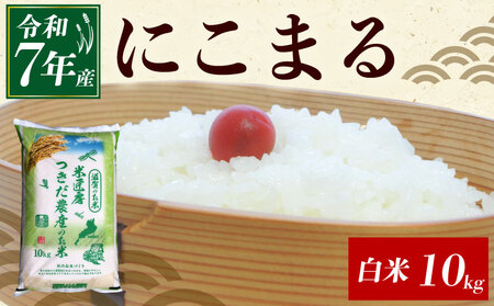 令和7年産 にこまる 白米 10kg
