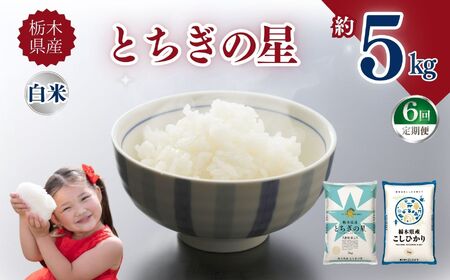 【定期便6回】栃木県産とちぎの星 5kg | お米
