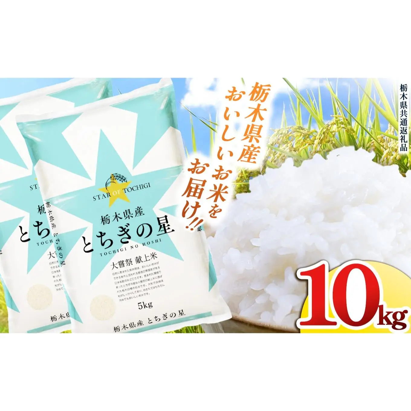 栃木県産 お米 とちぎの星 10kg |  栃木県 矢板市 【栃木県共通返礼品】